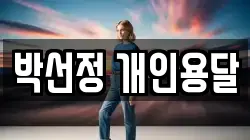 박선정 개인용달