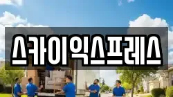 스카이익스프레스