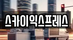 스카이익스프레스