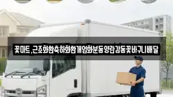 꽃마트,근조화환축하화환개업화분동양란감동꽃바구니배달