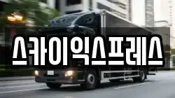스카이익스프레스