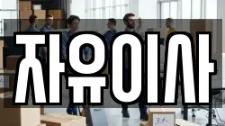 자유이사