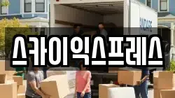 스카이익스프레스