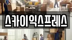 스카이익스프레스