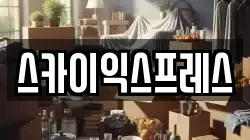 스카이익스프레스