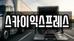 스카이익스프레스