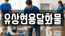 유상현용달화물