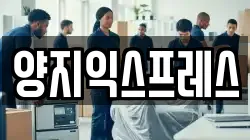 양지익스프레스