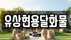 유상현용달화물
