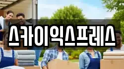스카이익스프레스
