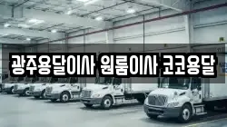 광주용달이사 원룸이사 코코용달