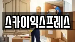 스카이익스프레스
