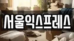 서울익스프레스