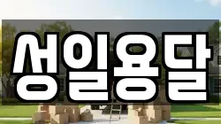 성일용달