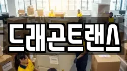 드래곤트랜스