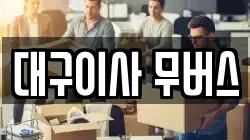 대구이사 무버스