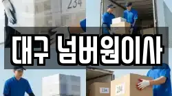 대구 넘버원이사