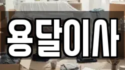 용달이사