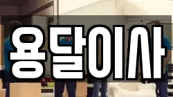 용달이사