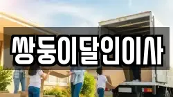 쌍둥이달인이사