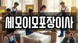 세모이모포장이사