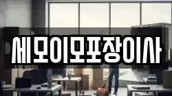 세모이모포장이사