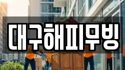 대구해피무빙
