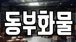 동부화물