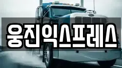 웅진익스프레스