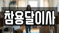 참용달이사