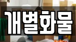 개별화물