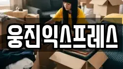 웅진익스프레스