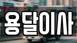 용달이사