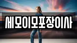 세모이모포장이사