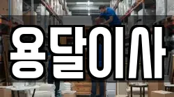 용달이사