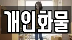 개인화물