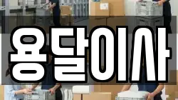 용달이사