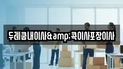 두레쿱내이사&콕이사포장이사