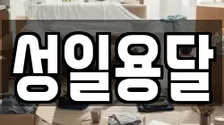 성일용달