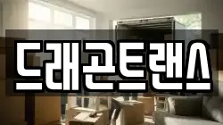 드래곤트랜스