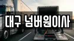 대구 넘버원이사