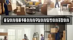 용달이사원룸투룸이사사무실이사일반이사포장이사