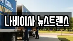 나비이사 뉴스트랜스