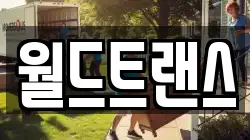 월드트랜스