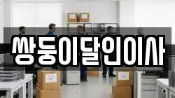 쌍둥이달인이사