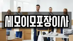 세모이모포장이사