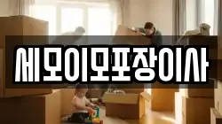 세모이모포장이사