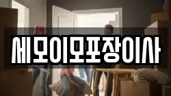 세모이모포장이사