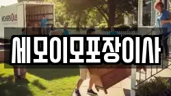 세모이모포장이사