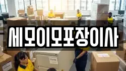 세모이모포장이사